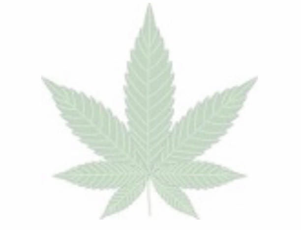 Before and after of using Hemp seed oil